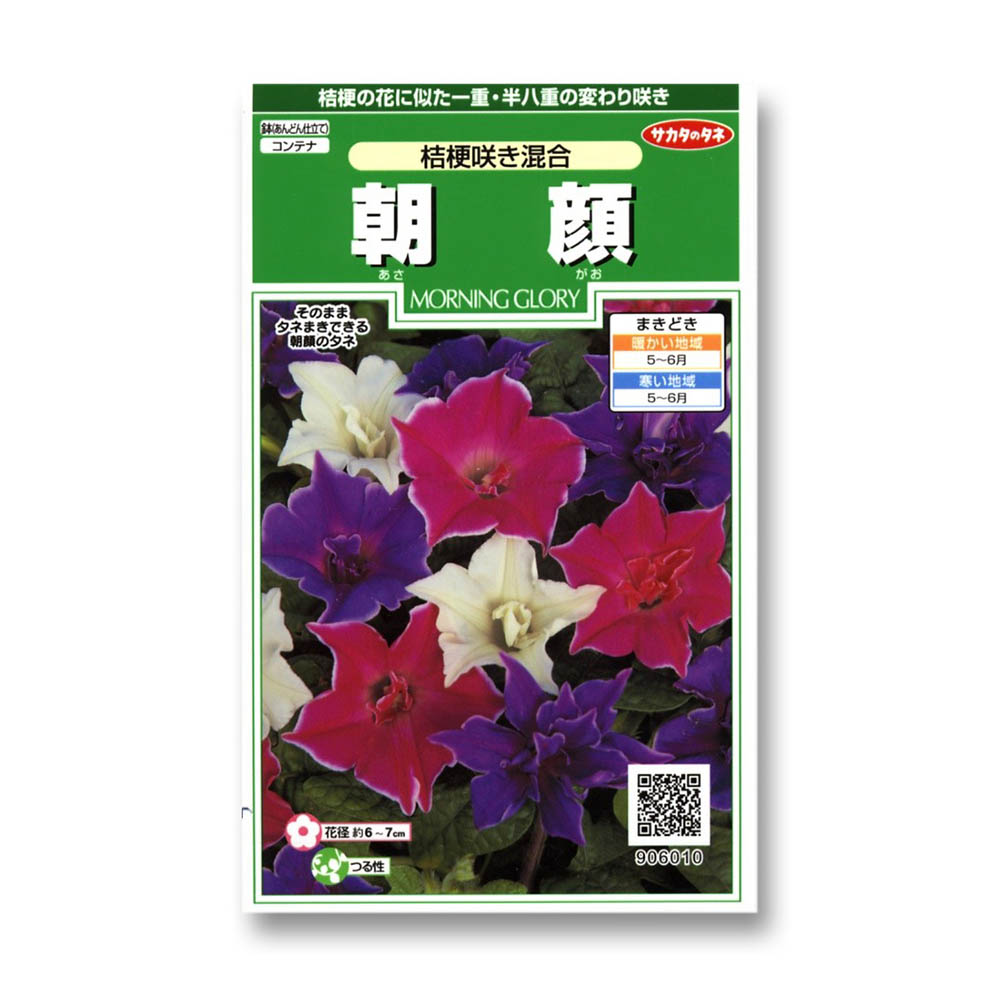 朝顔_桔梗咲き混合　春秋兼用