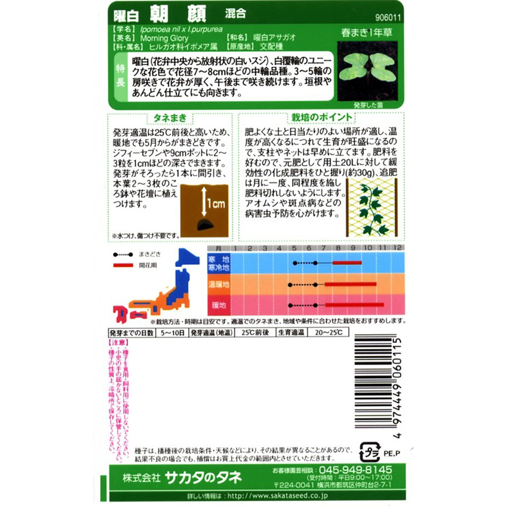 曜白朝顔_混合　春秋兼用