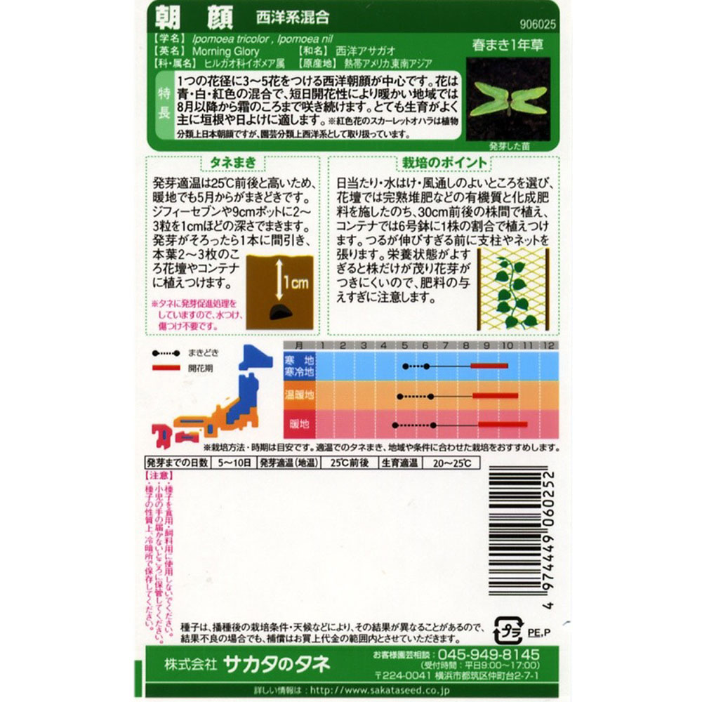 朝顔_西洋系混合　春秋兼用