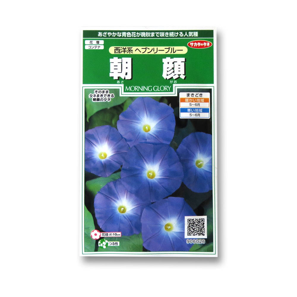朝顔_西洋系ヘブンリーブルー　春秋兼用