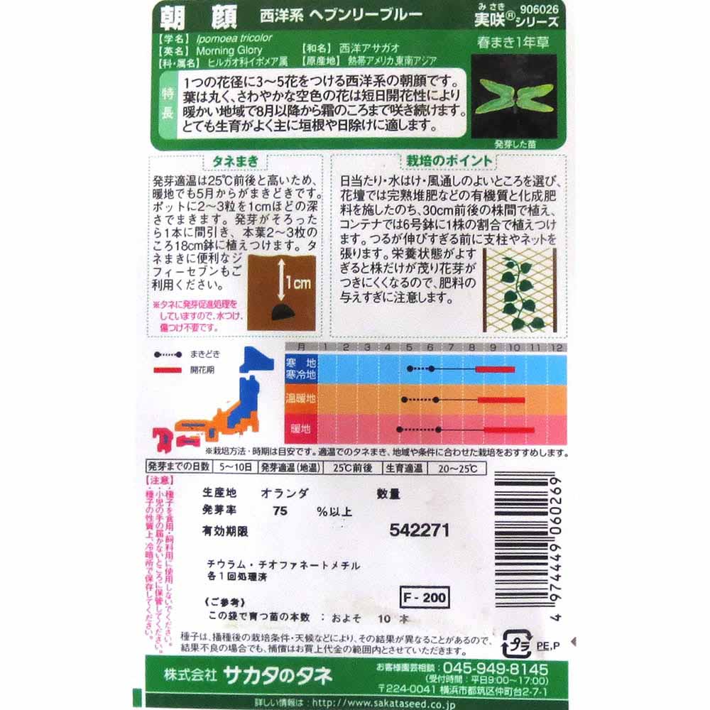 朝顔_西洋系ヘブンリーブルー　春秋兼用