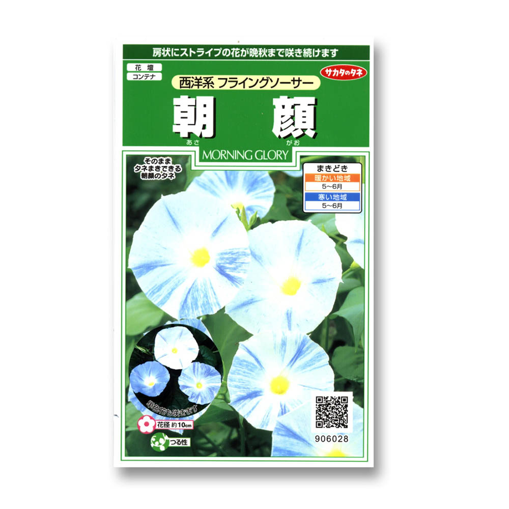 朝顔_西洋系フライングソーサー　春秋兼用
