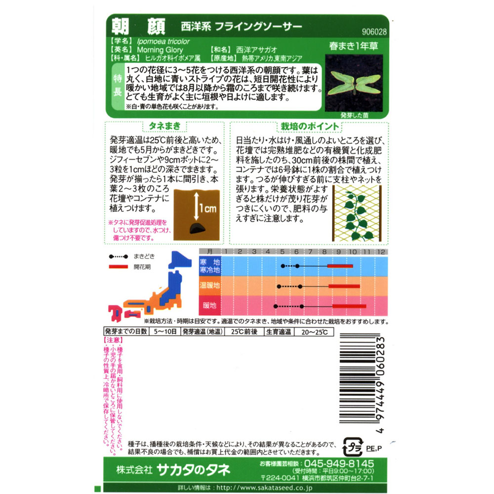 朝顔_西洋系フライングソーサー　春秋兼用