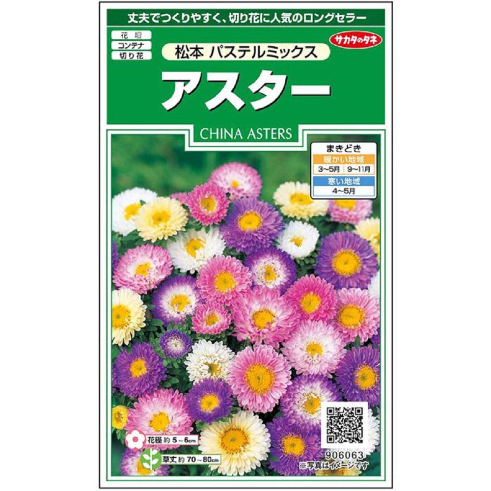 アスター_松本 パステルミックス　春秋兼用