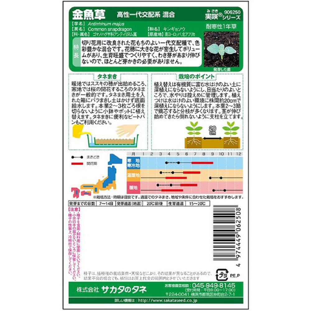 金魚草_高性一代交配系混合　春秋兼用
