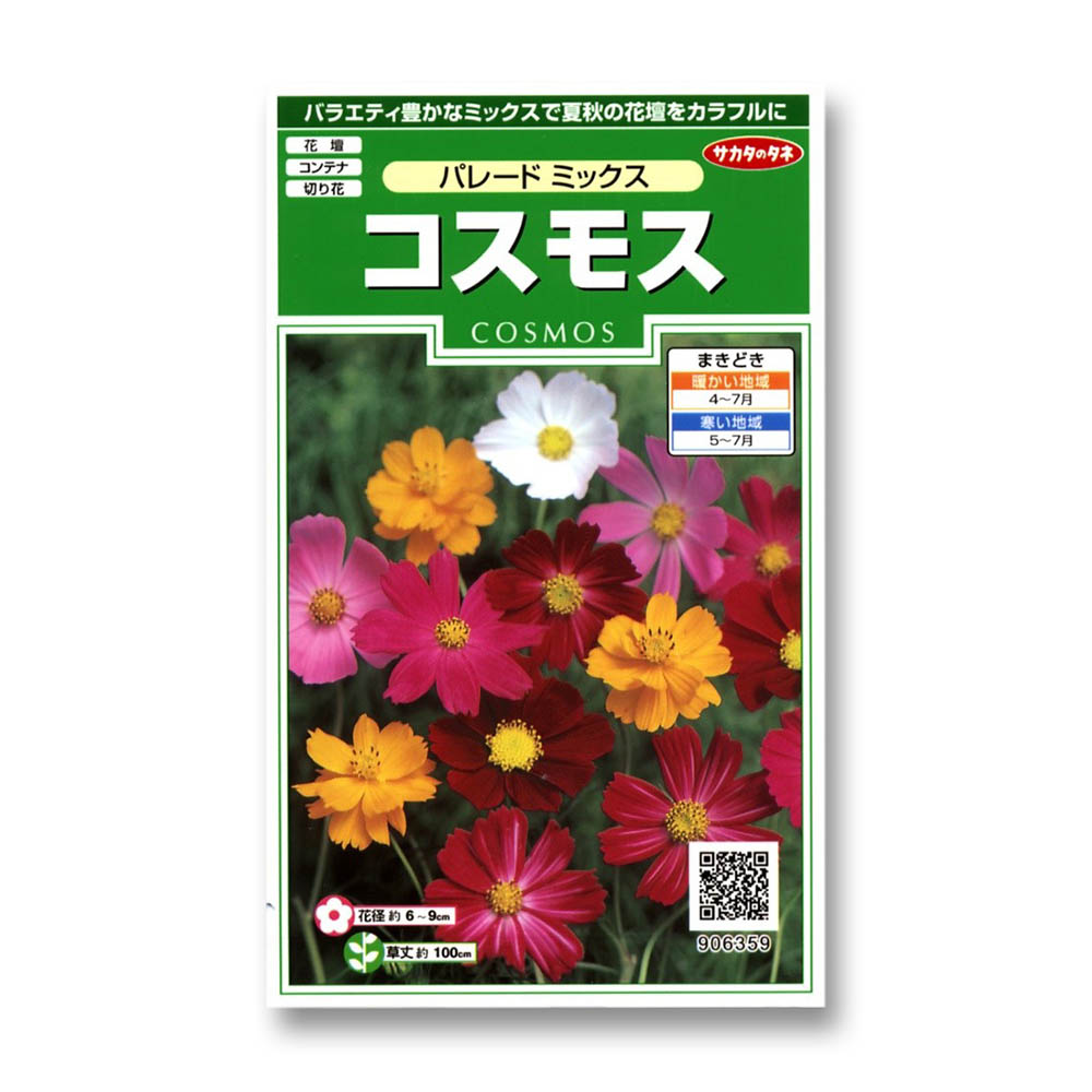 コスモス_パレードミックス　春秋兼用