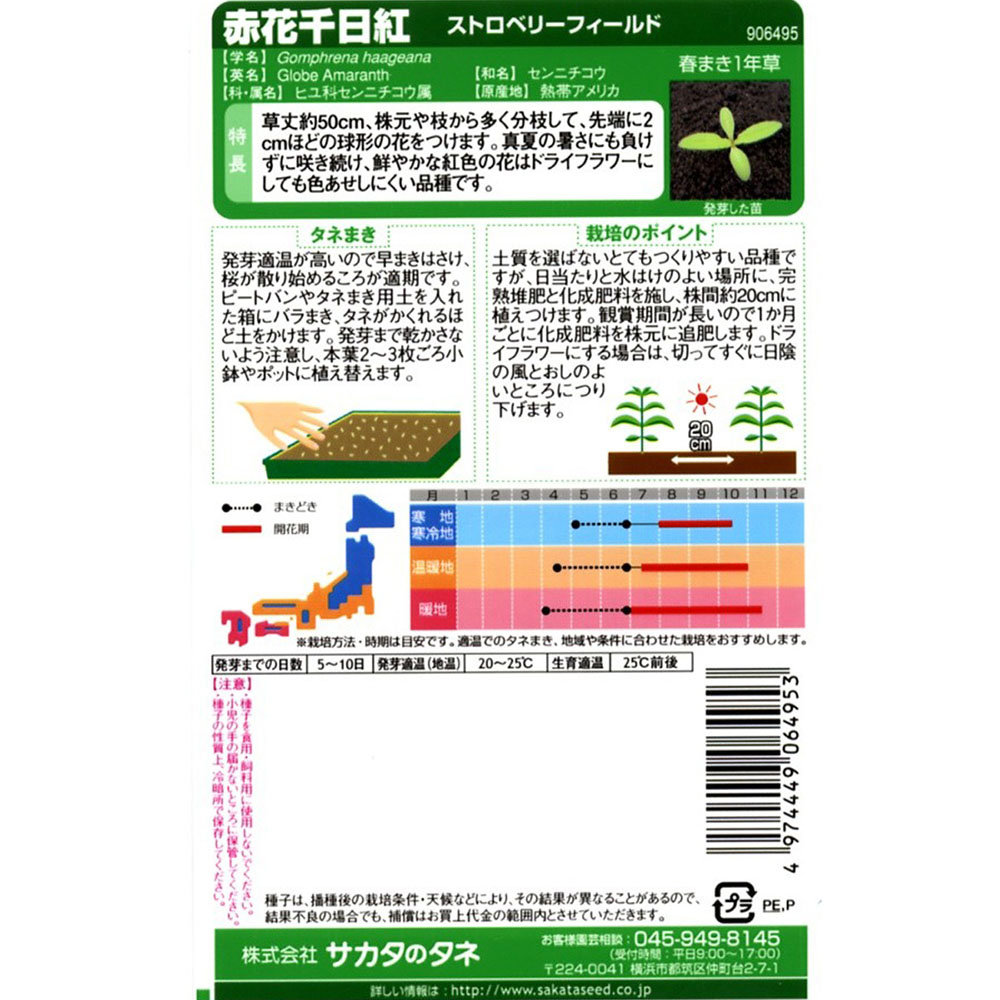 千日紅_ストロベリーフィールド　春秋兼用