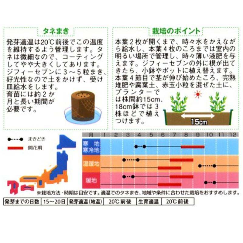 トルコギキョウ_バイカラーミックス　春秋兼用