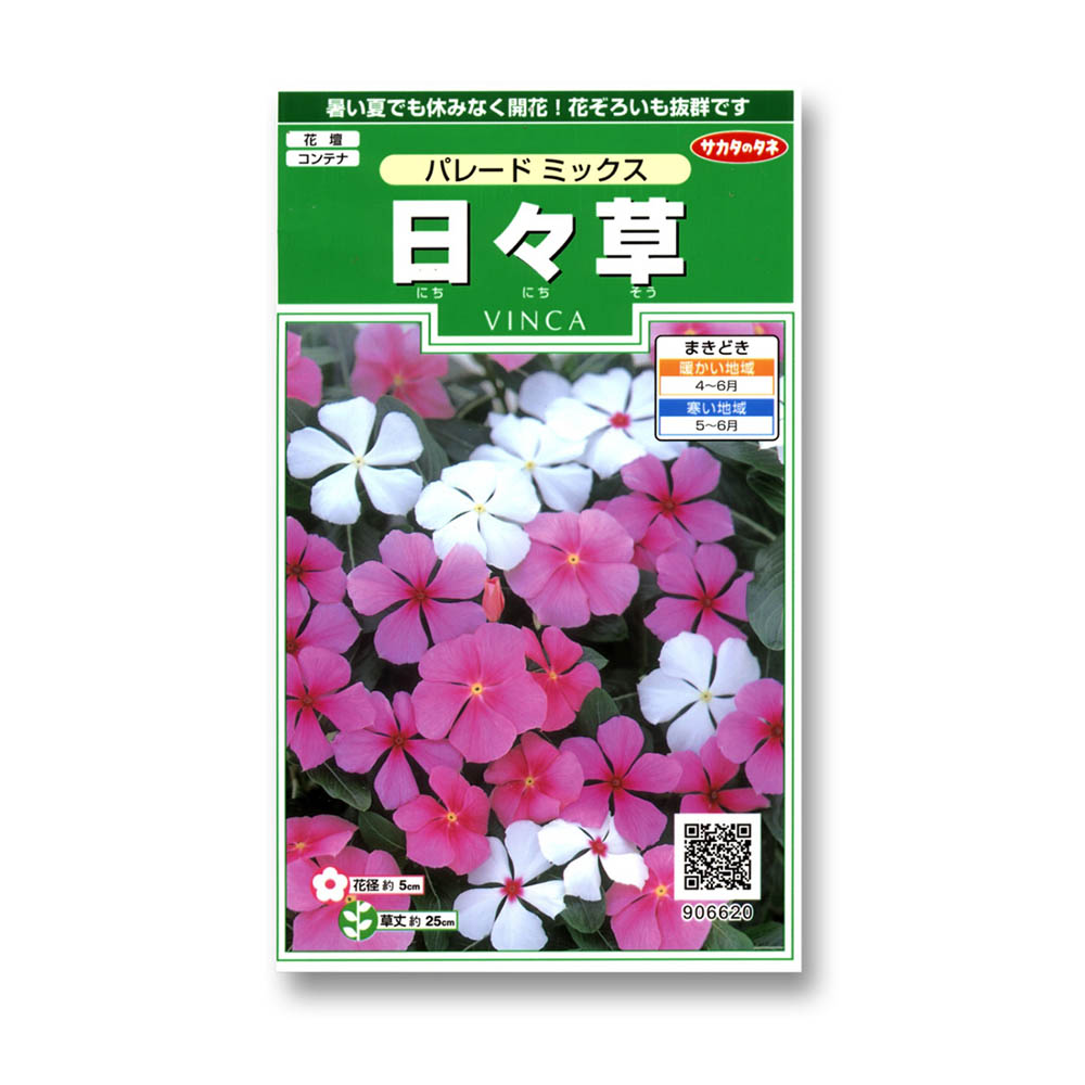 松葉牡丹 八重咲混合 春まき | ジョイフル本田 取り寄せ＆店舗受取