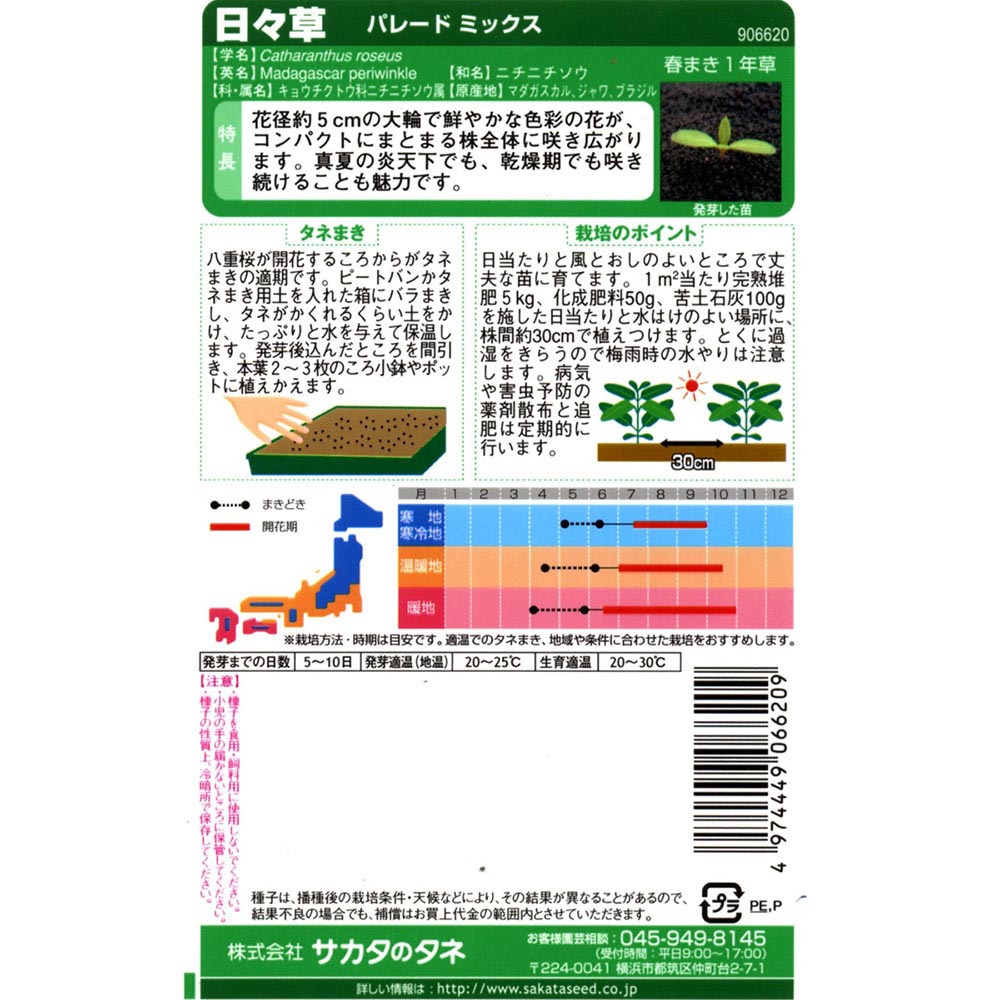 日々草_パレードミックス　春秋兼用