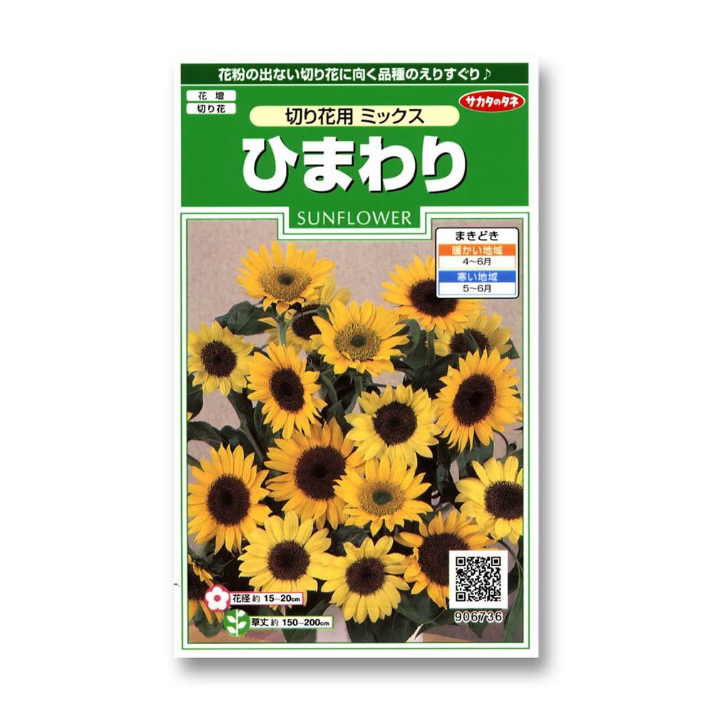 ひまわり_切り花用ミックス　春秋兼用