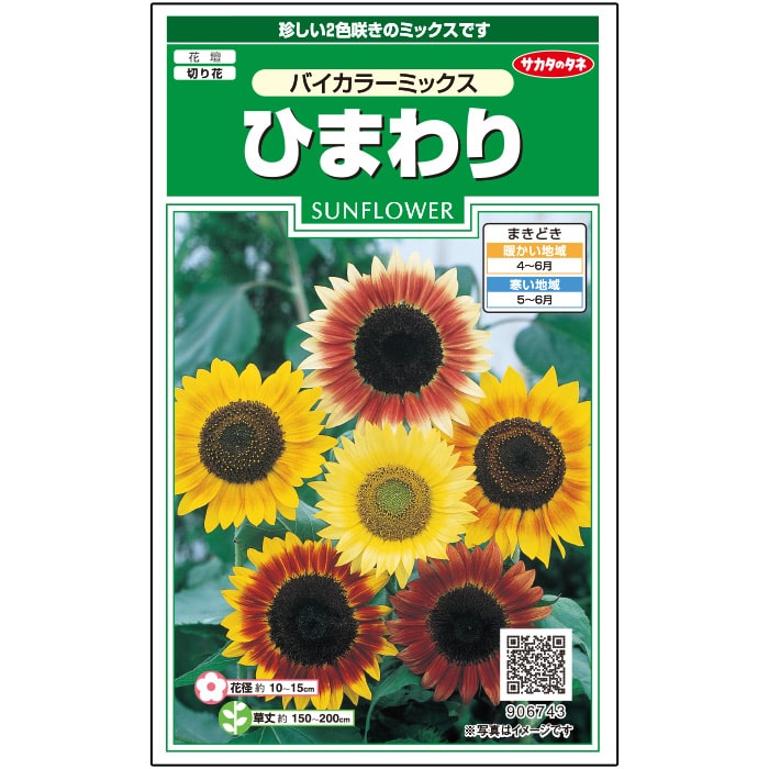ひまわり＿バイカラー　ミックス　春秋兼用
