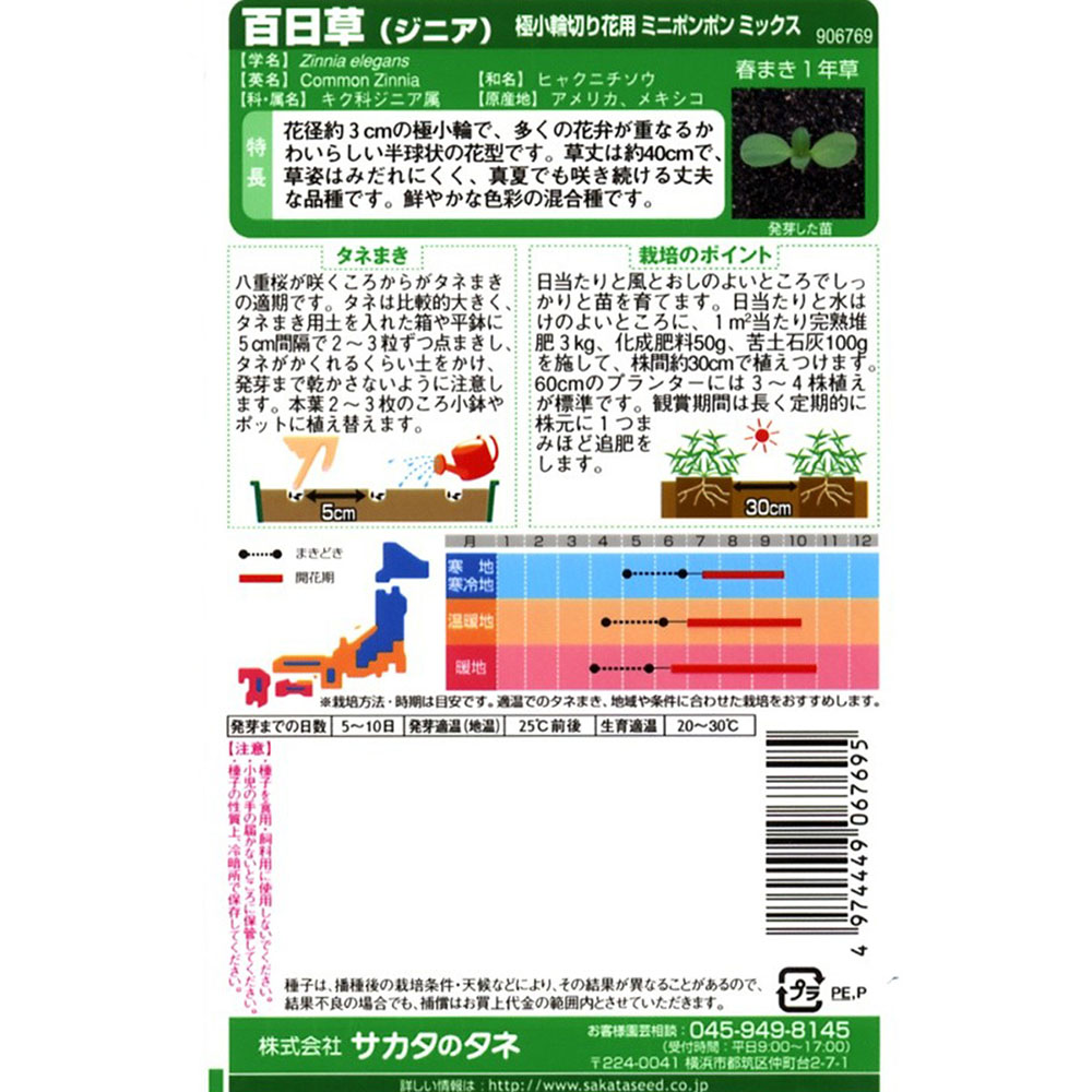 百日草_ミニポンポンミックス　春秋兼用