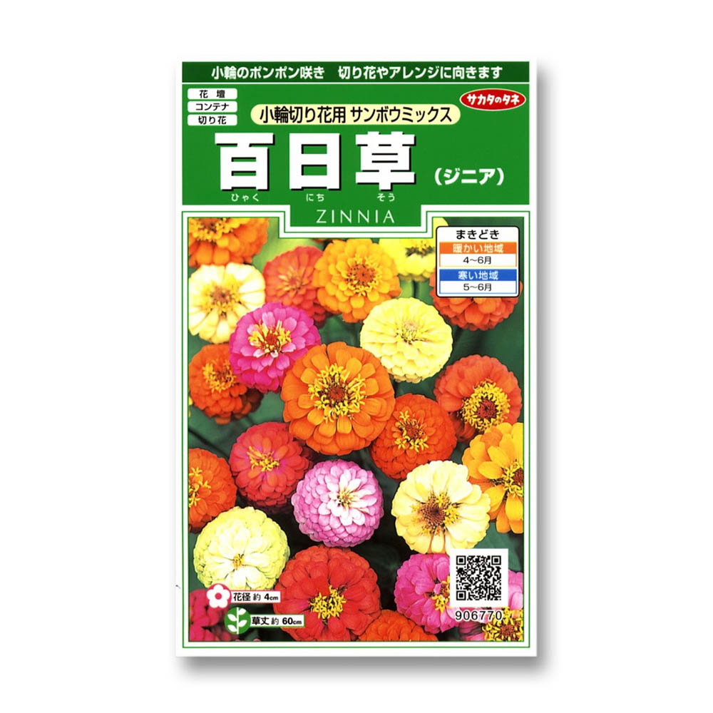 百日草_小輪切り花用サンボウミックス　春秋兼用
