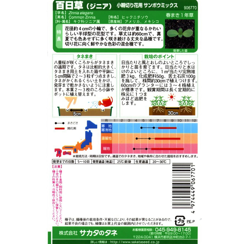 百日草_小輪切り花用サンボウミックス　春秋兼用