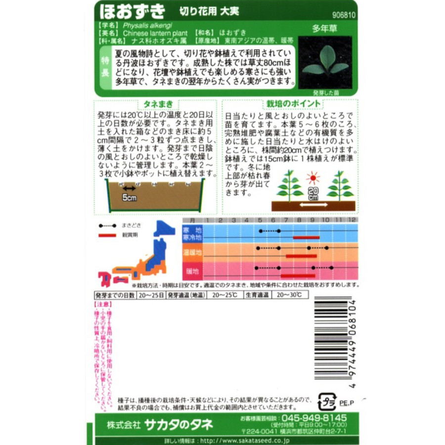 ほおずき_切り花用大実　春秋兼用
