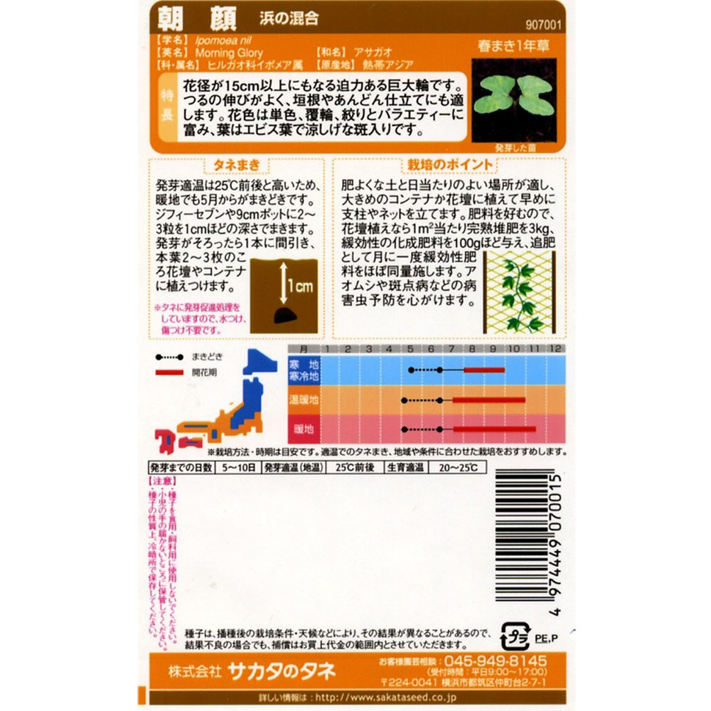 朝顔 _浜の混合　春秋兼用