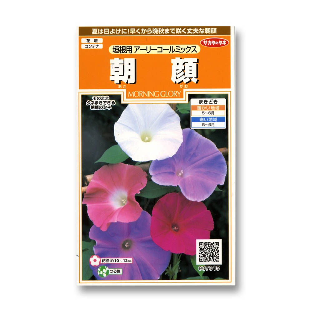 朝顔_垣根用アーリーコールミックス　春秋兼用