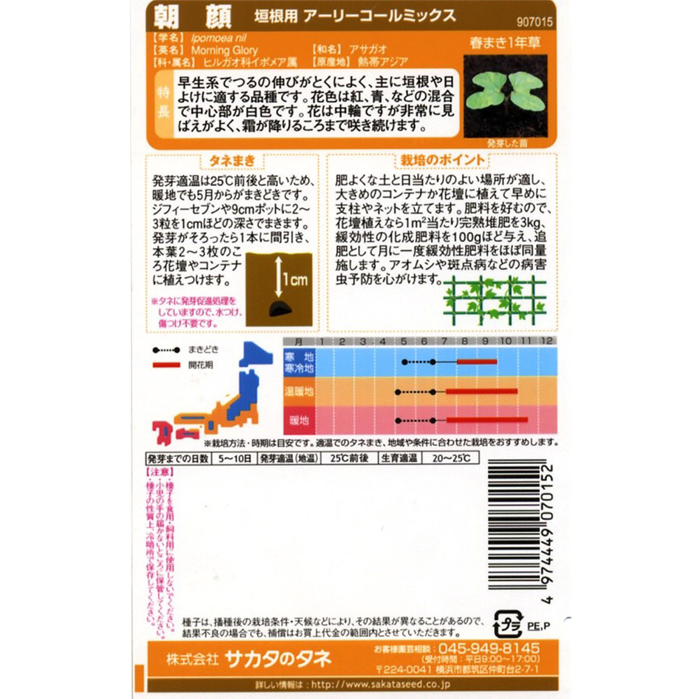 朝顔_垣根用アーリーコールミックス　春秋兼用