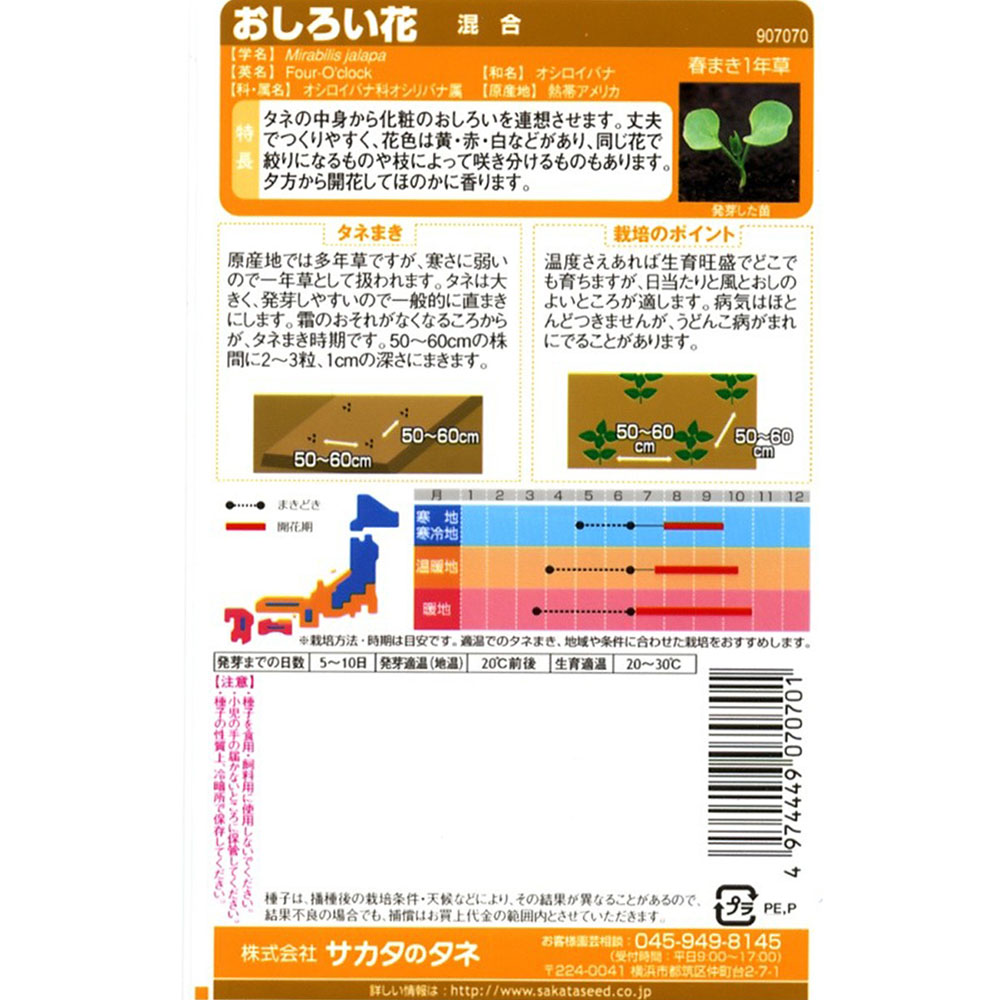 おしろい花 混合　春秋兼用