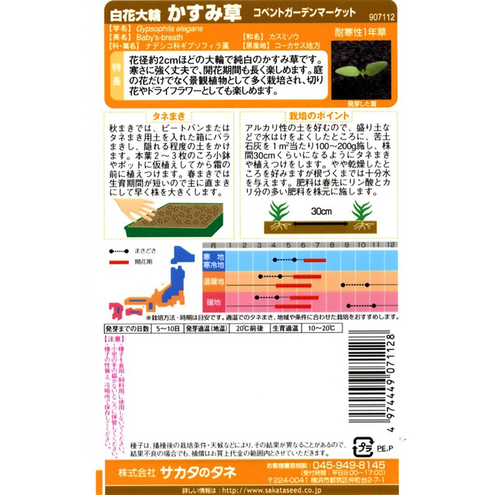 カスミソウ_コベントガーデンマーケット　春秋兼用