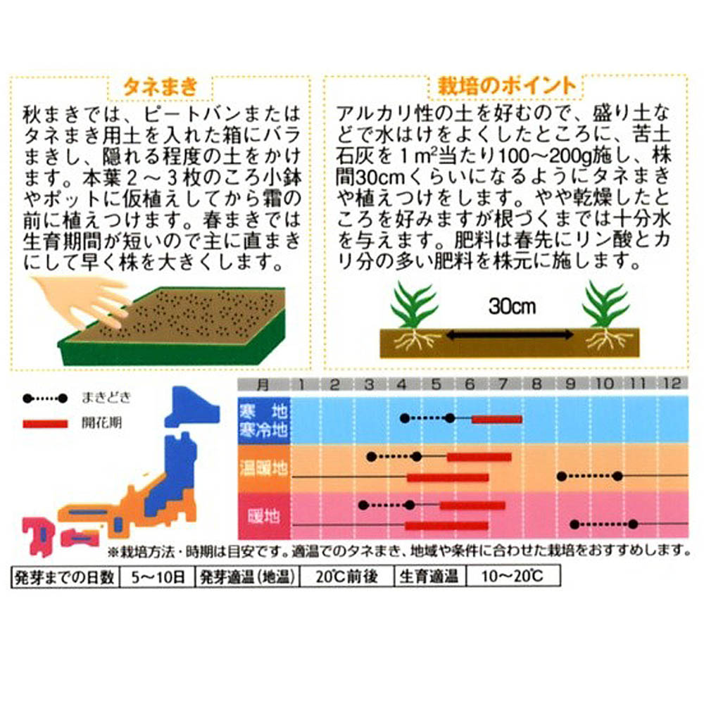 花種 カスミソウ 白花大輪かすみ草 コベントガーデンマーケット サカタのタネ 1ml ジョイフル本田 店舗受取サービス 花種 カスミソウ 白花大輪かすみ草 コベントガーデンマーケット サカタのタネ 1ml ジョイフル本田 店舗受取サービス