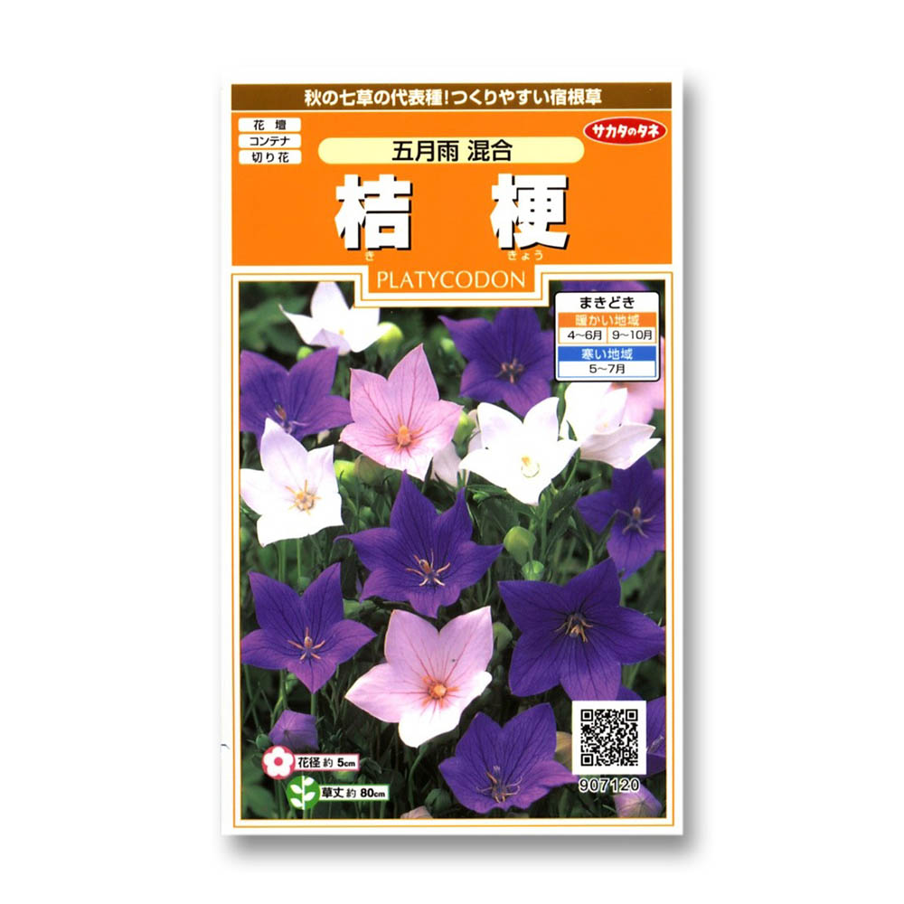 桔梗 _五月雨混合　春秋兼用