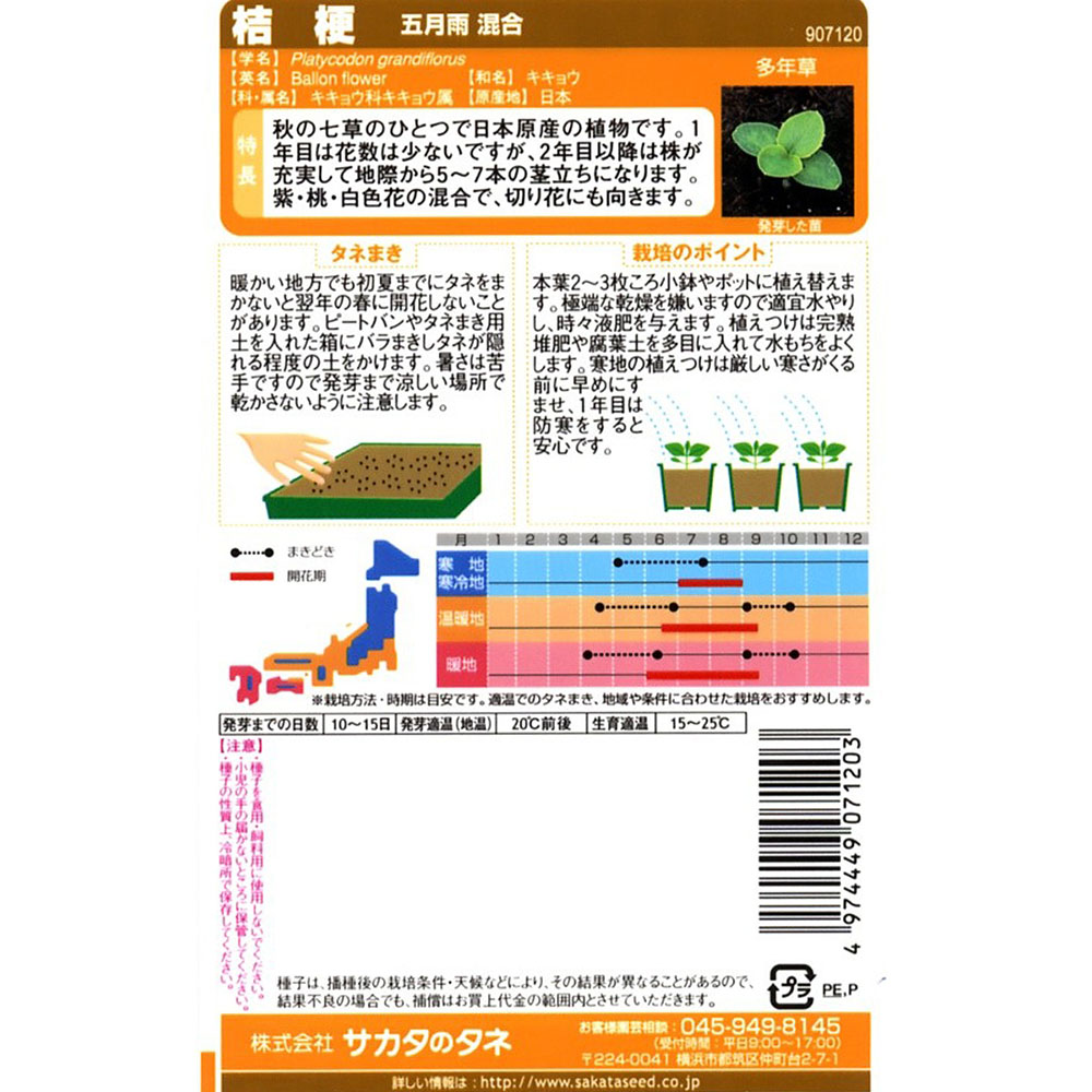 桔梗 _五月雨混合　春秋兼用
