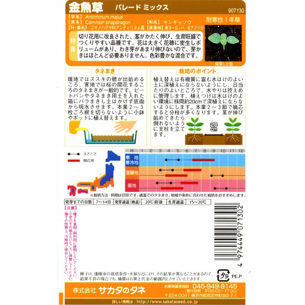 金魚草_パレードミックス　春秋兼用