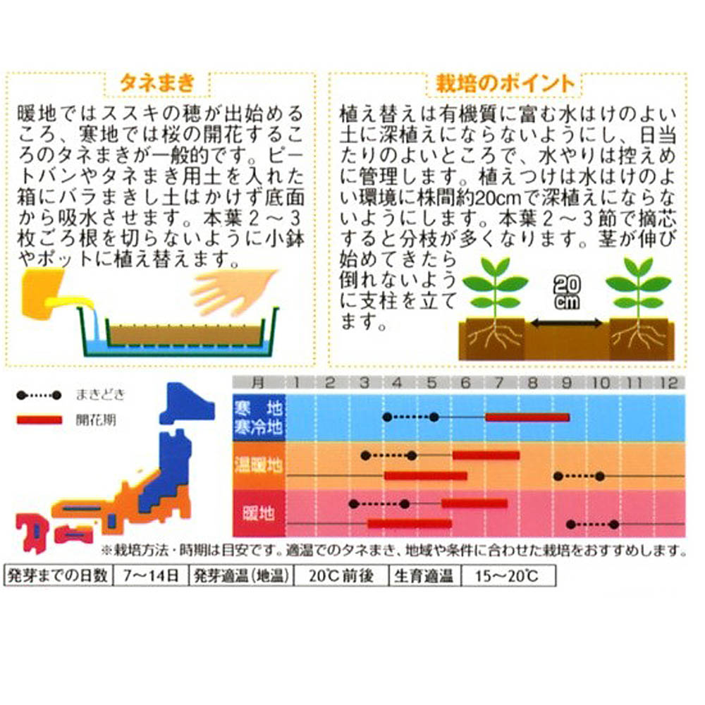 金魚草_パレードミックス　春秋兼用