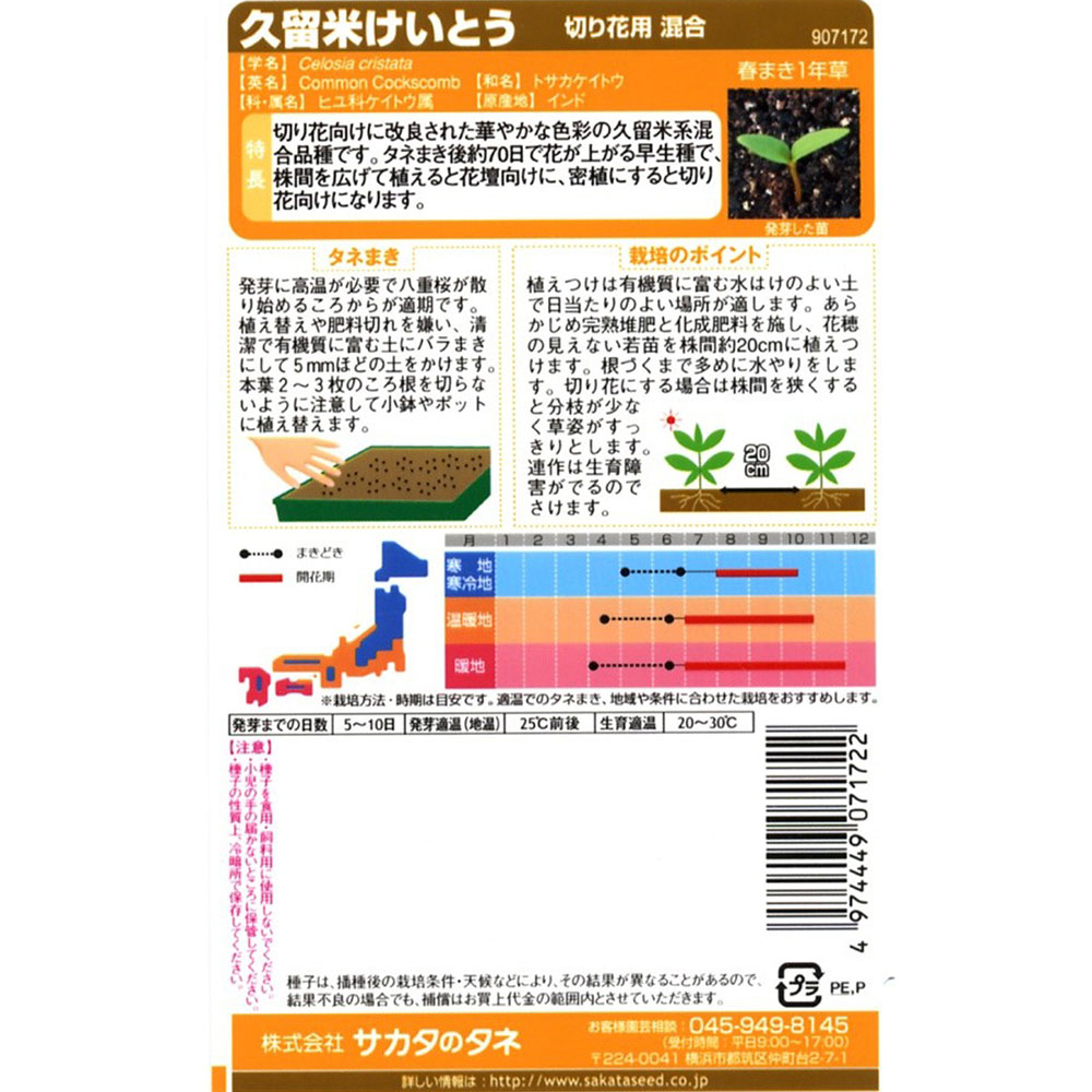 久留米けいとう_切り花用混合　春秋兼用