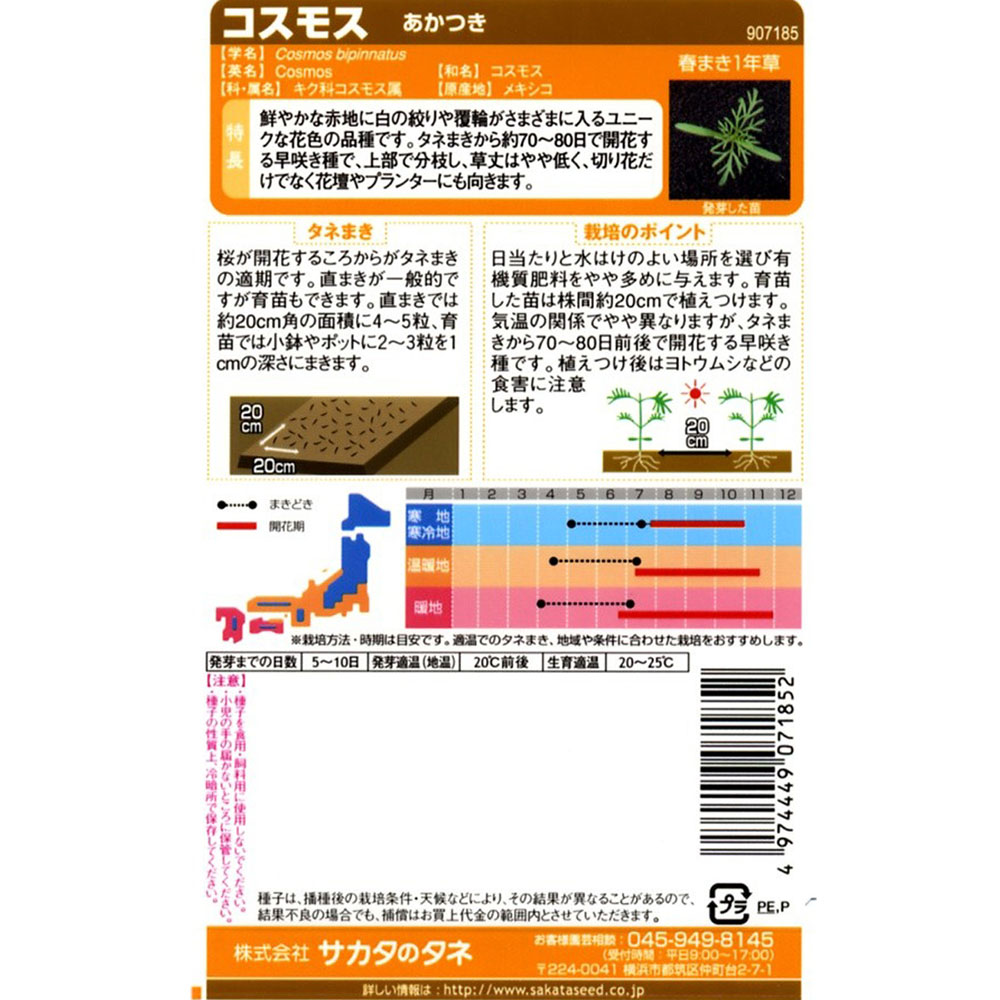 コスモス_あかつき　春秋兼用
