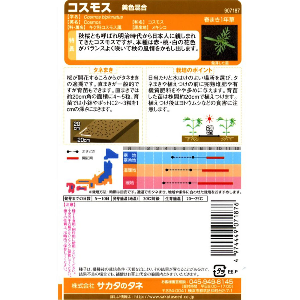 コスモス_美色混合　春秋兼用