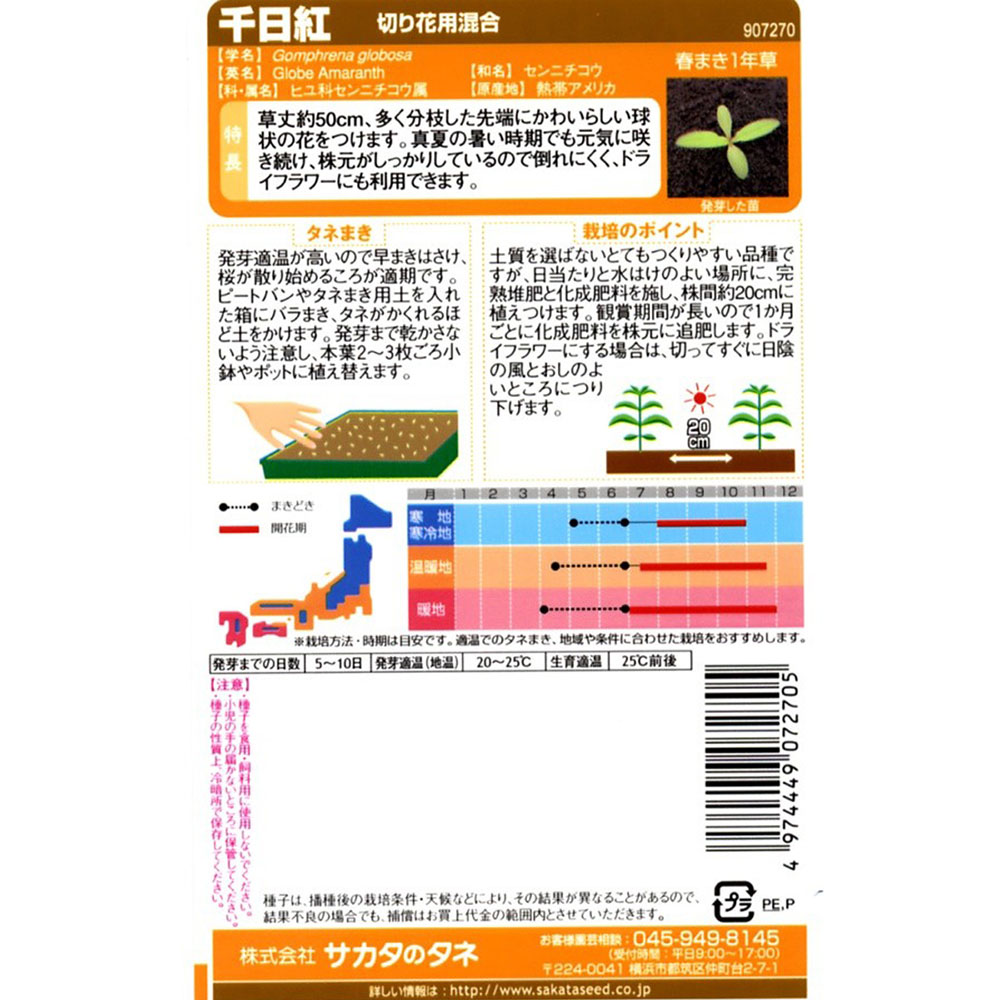 千日紅_切花用混合　春秋兼用