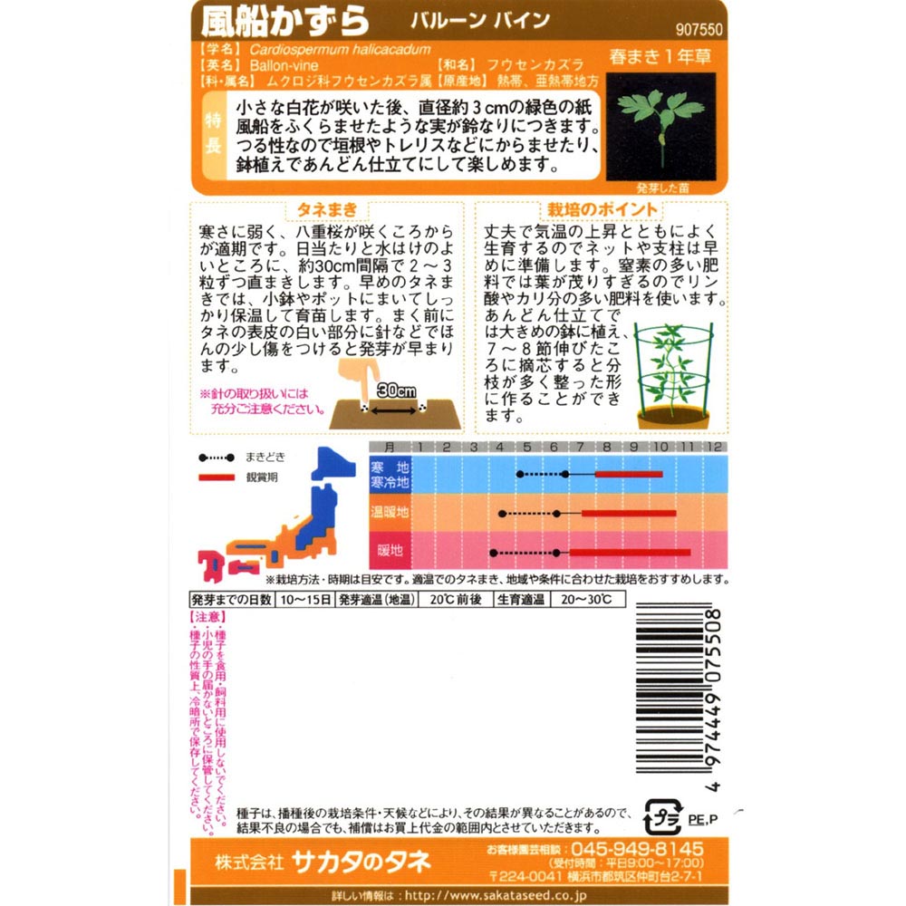 風船かずら_バルーンバイン　春秋兼用