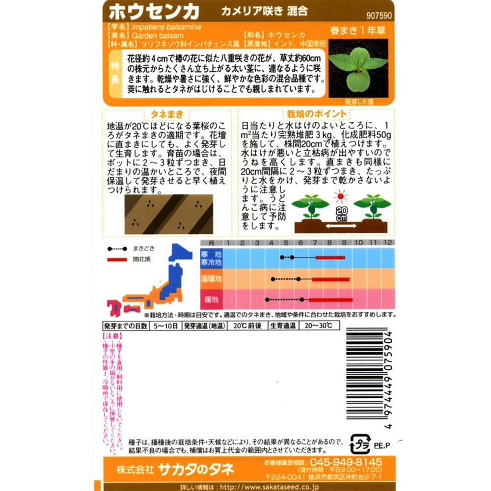 ホウセンカ_カメリア咲き混合　春まき