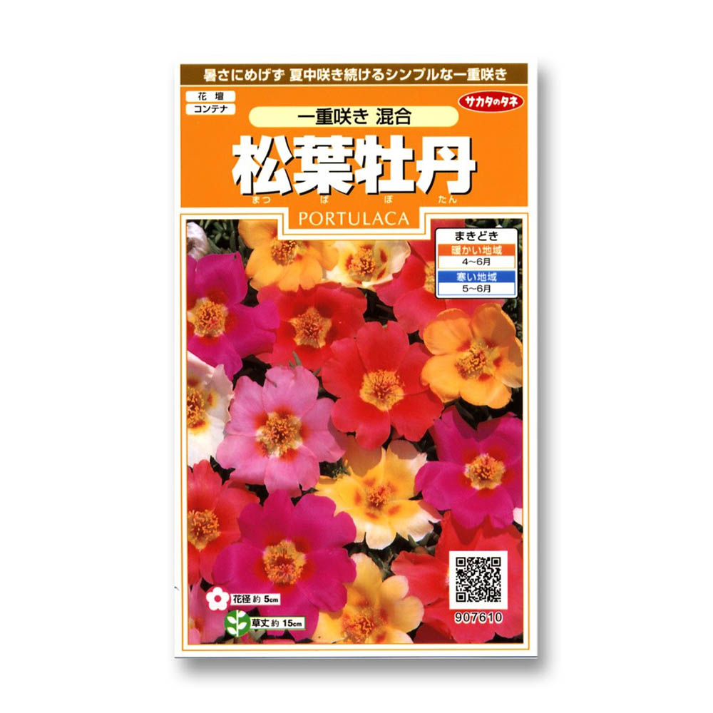 松葉牡丹_一重咲き混合　春まき