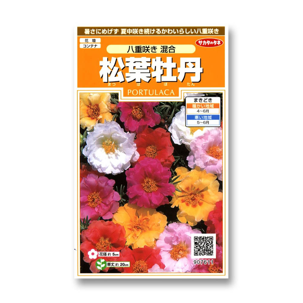松葉牡丹_八重咲き混合　春まき