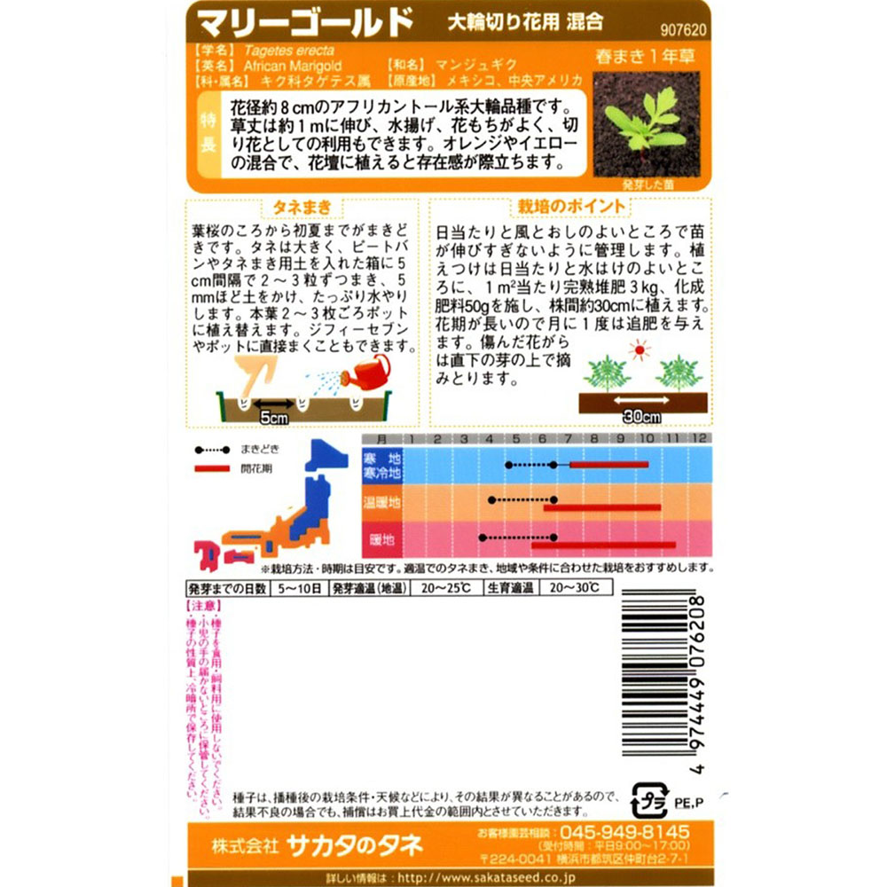 マリーゴールド_大輪切り花用混合　春まき