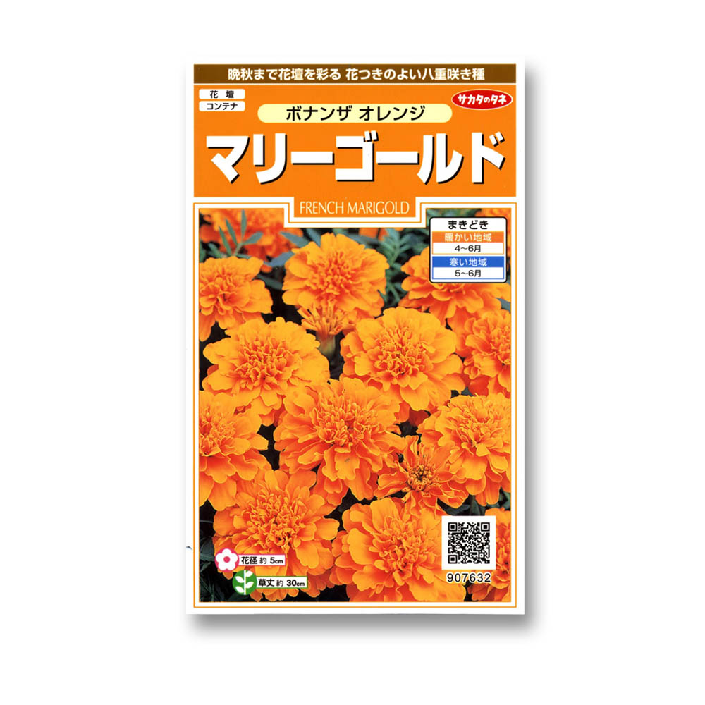マリーゴールド_ボナンザ オレンジ　春まき
