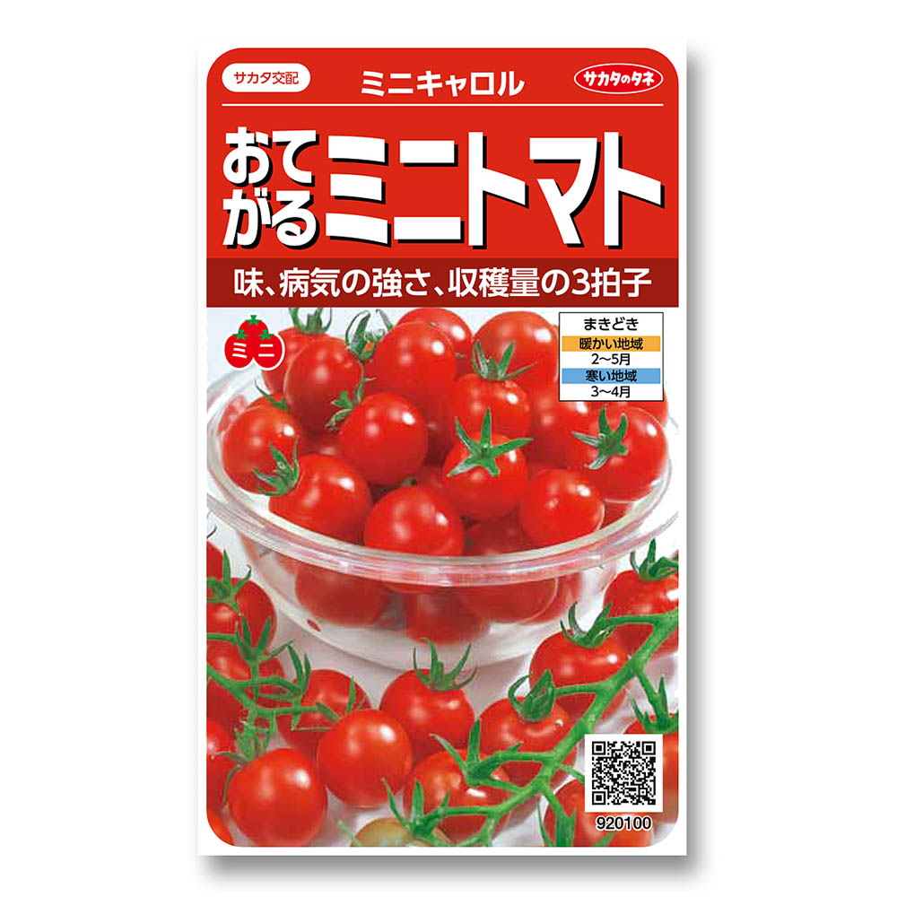 トマト_ミニトマト_ミニキャロル　春まき
