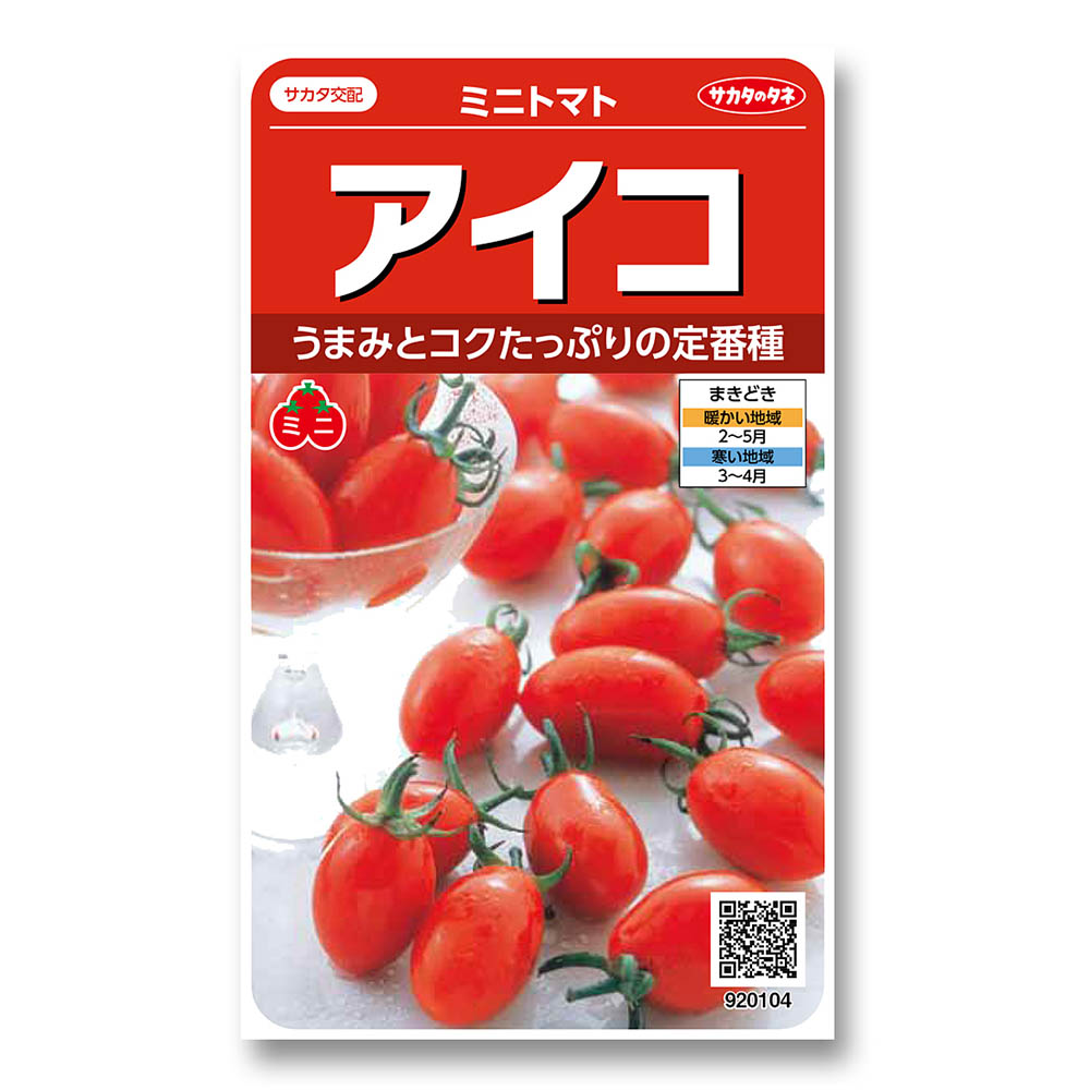 トマト_ミニトマト_アイコ　春まき