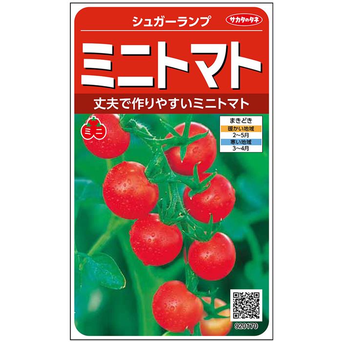 トマト＿ミニトマト＿シュガーランプ　春まき