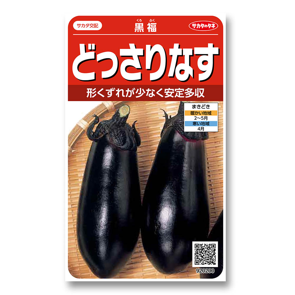 ナス_黒福　春まき
