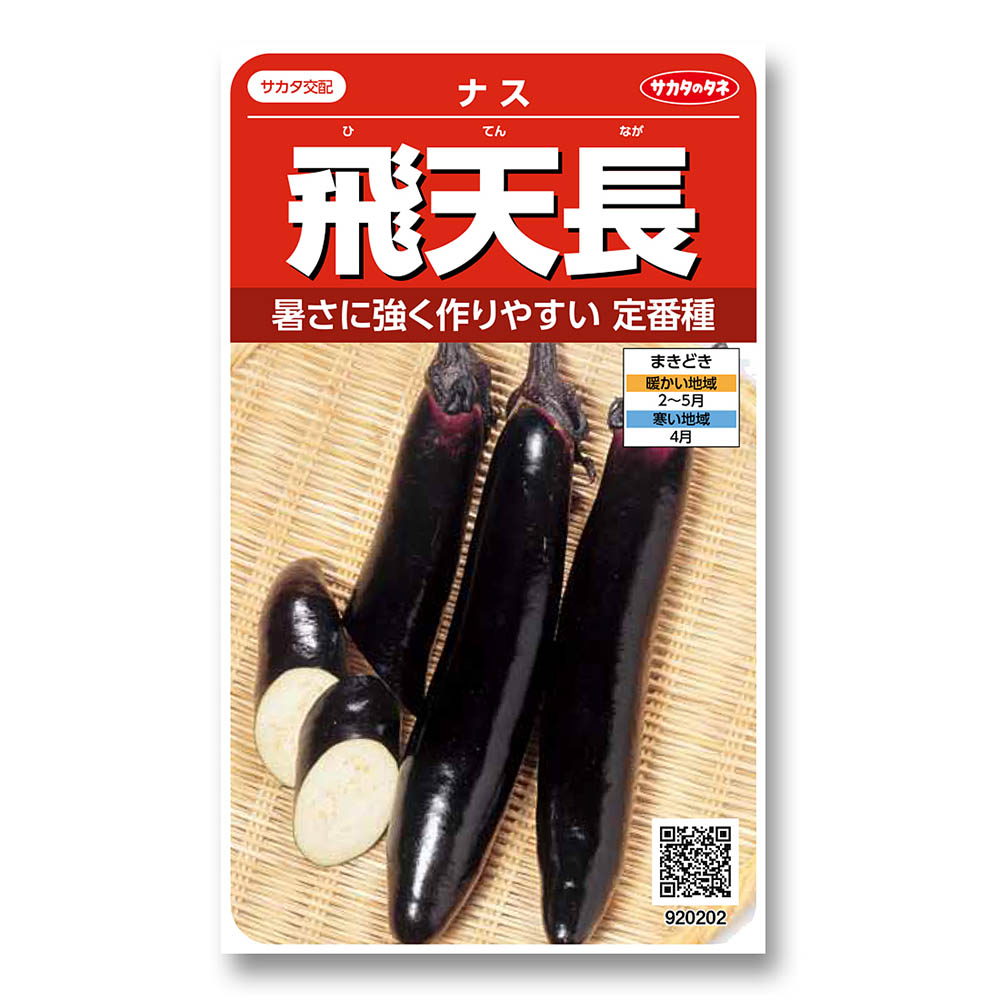 ナス_飛天長　春まき