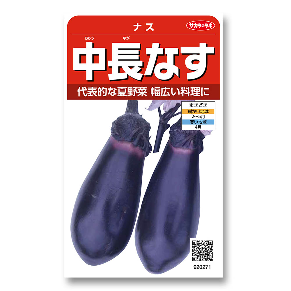 ナス_中長　春まき