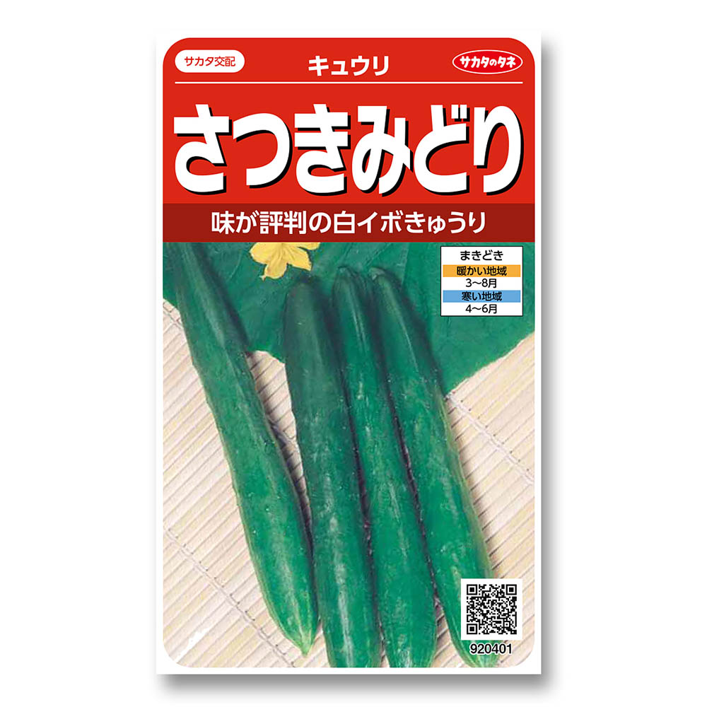 キュウリ_さつきみどり　春まき