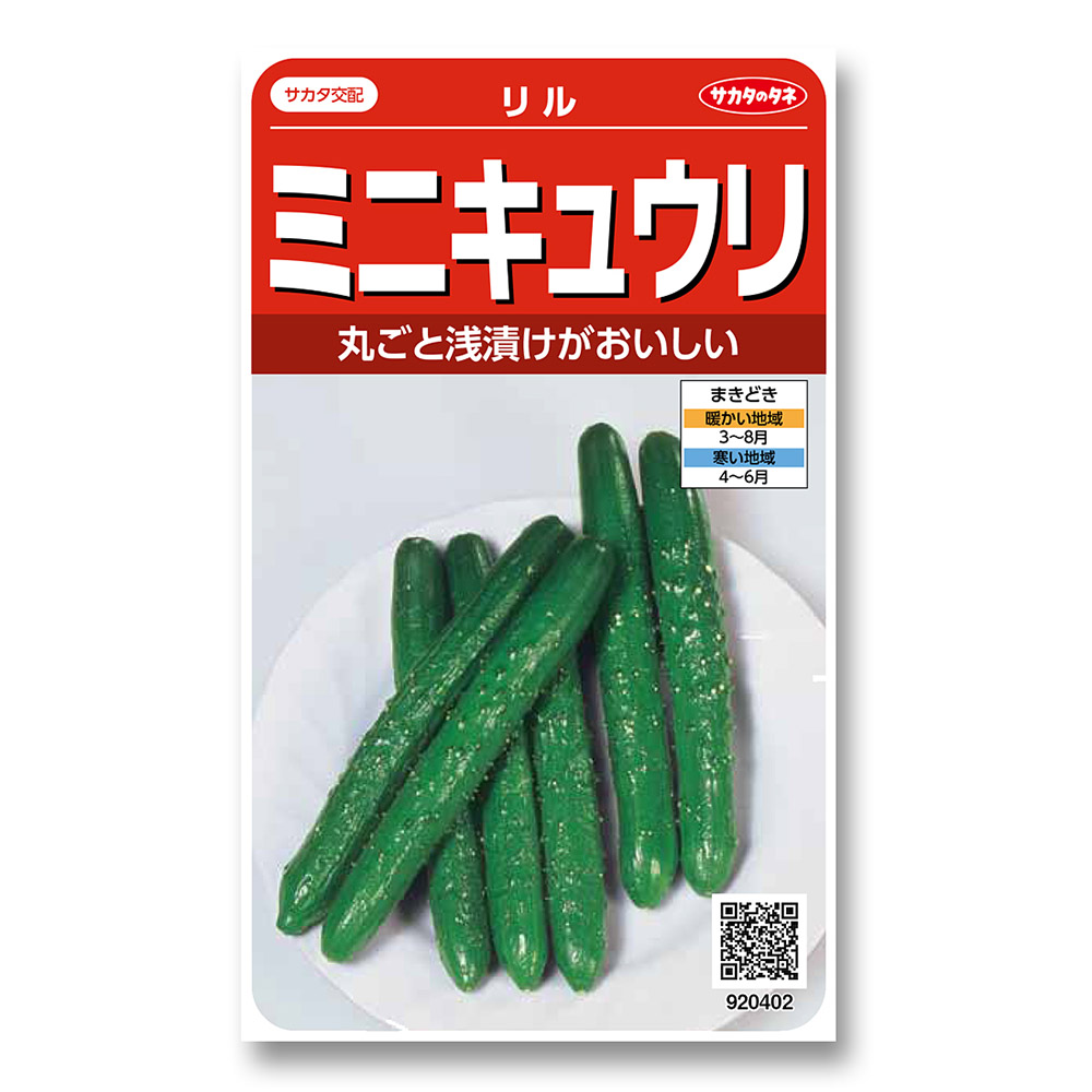 キュウリ_ミニキュウリ_リル　春まき