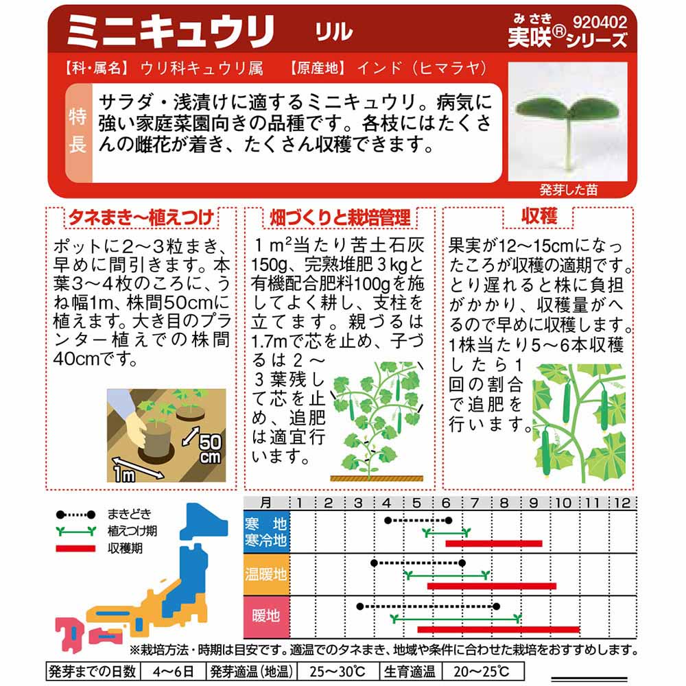 キュウリ_ミニキュウリ_リル　春まき