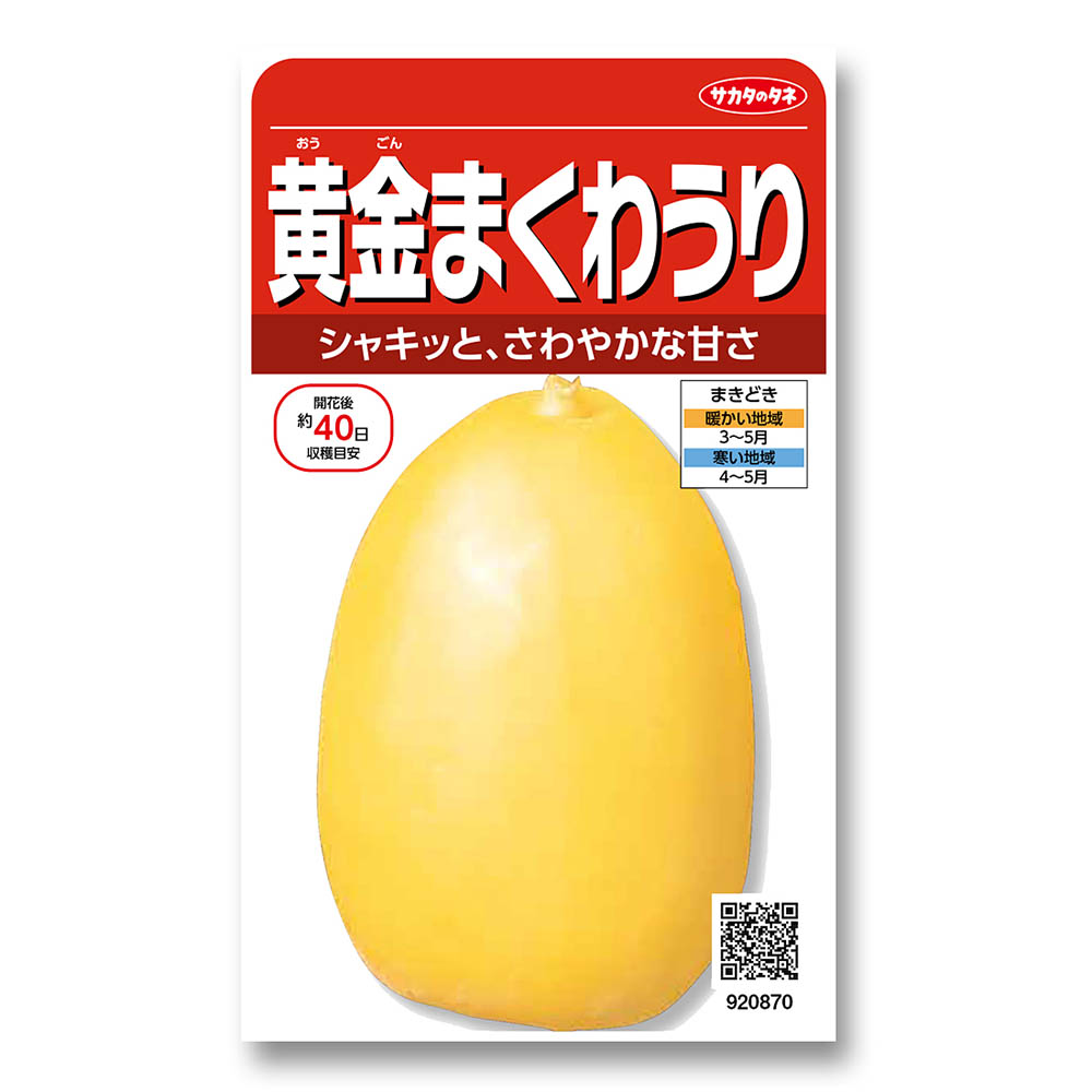 ウリ_黄金まくわうり　春まき